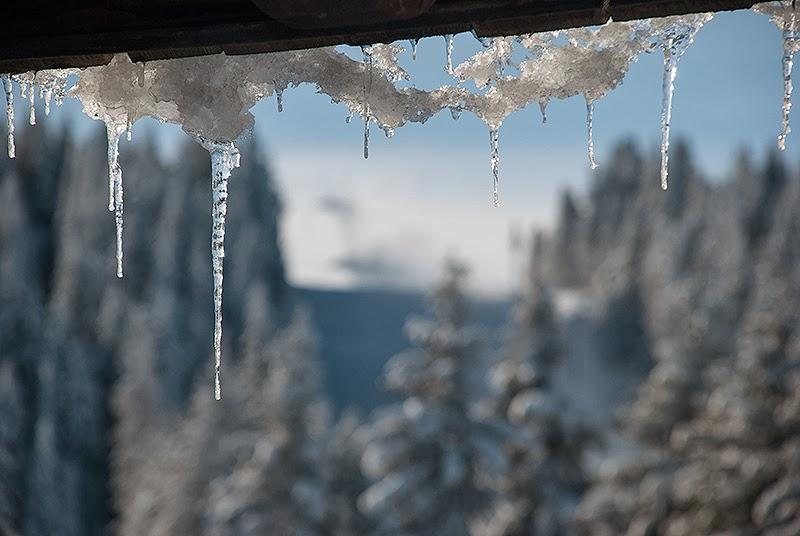 Apartment Suncani Vrhovi Kopaonik Luaran gambar